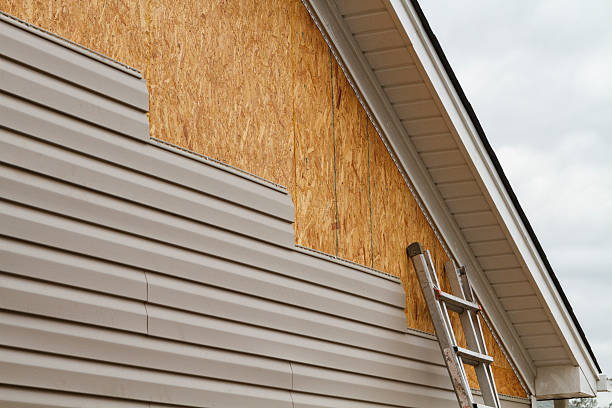 Best Vinyl Siding Installation  in Olivia, MN